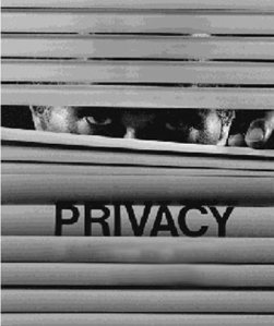 privacy